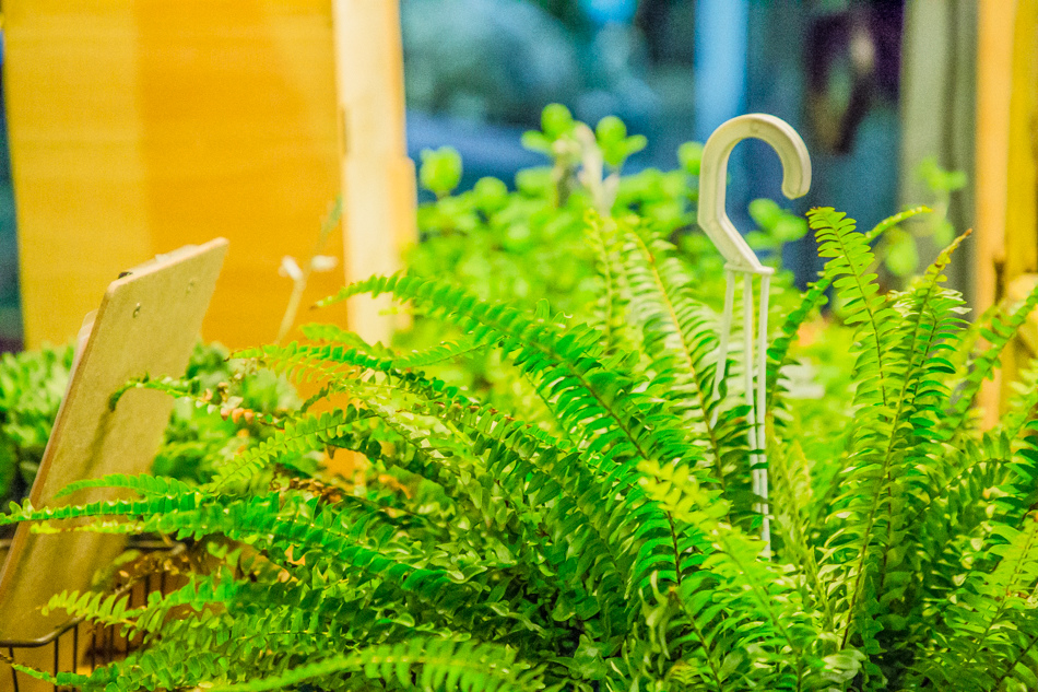 Bitch小姐 Bitch小姐