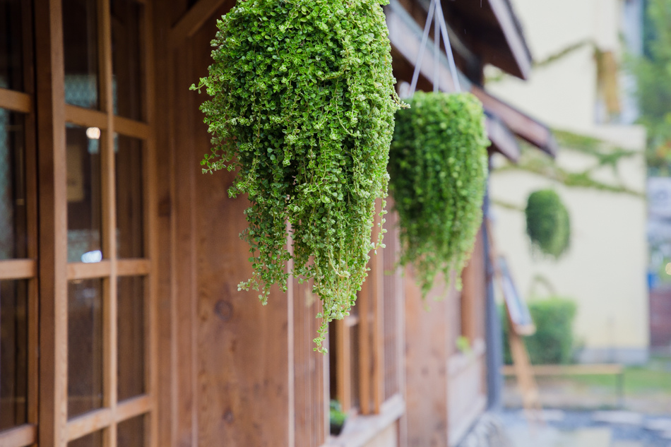 台南美食台南旅遊不再宿舍IMG_9695.jpg 台南美食台南旅遊不再宿舍IMG_9695.jpg