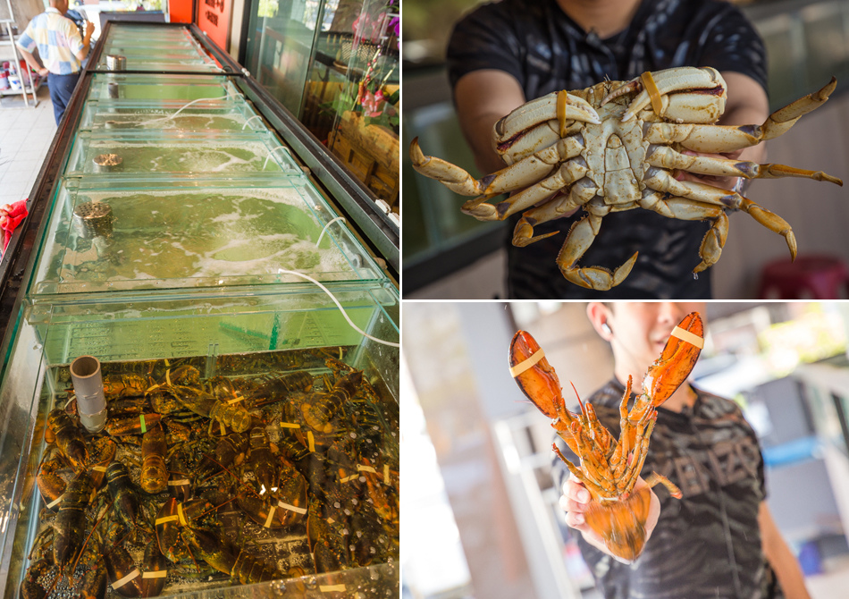 蒸任性活體海鮮養生蒸氣鍋IMG_0389-拷貝.jpg 蒸任性活體海鮮養生蒸氣鍋IMG_0389-拷貝.jpg