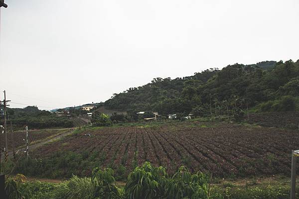 高雄旅遊 - 大觀庭園咖啡