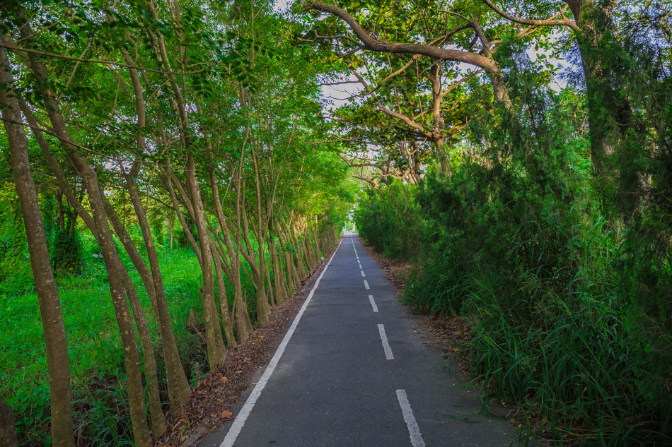 橋頭糖廠快樂單車行