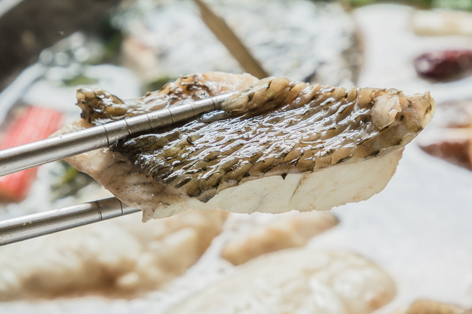 黃鵲.食料研製所/鳳山美食/正修美食 黃鵲.食料研製所/鳳山美食/正修美食