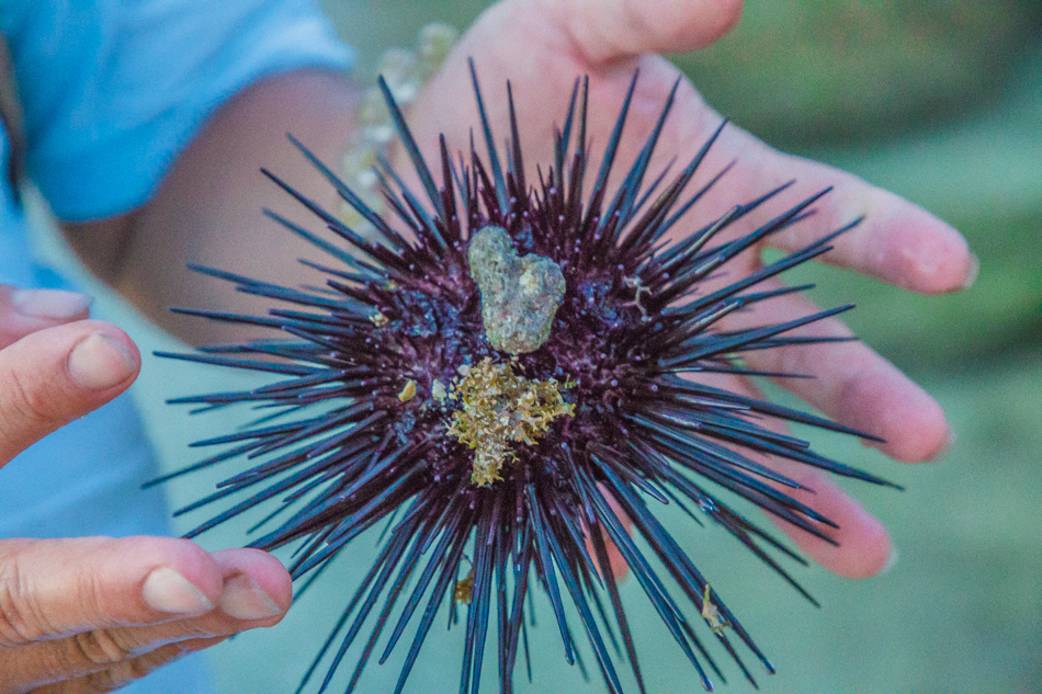 小琉球潮間帶 小琉球潮間帶