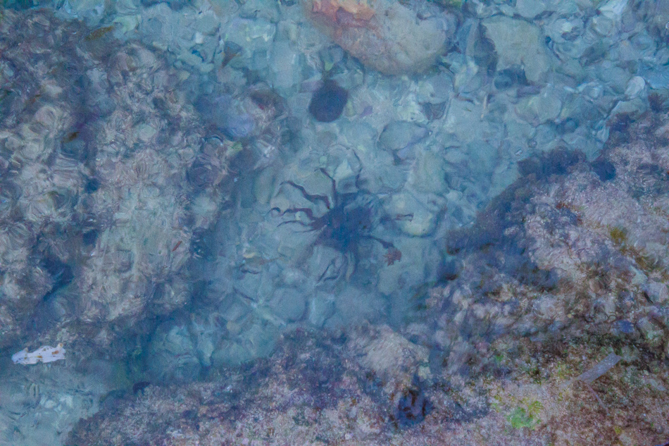 小琉球潮間帶 小琉球潮間帶