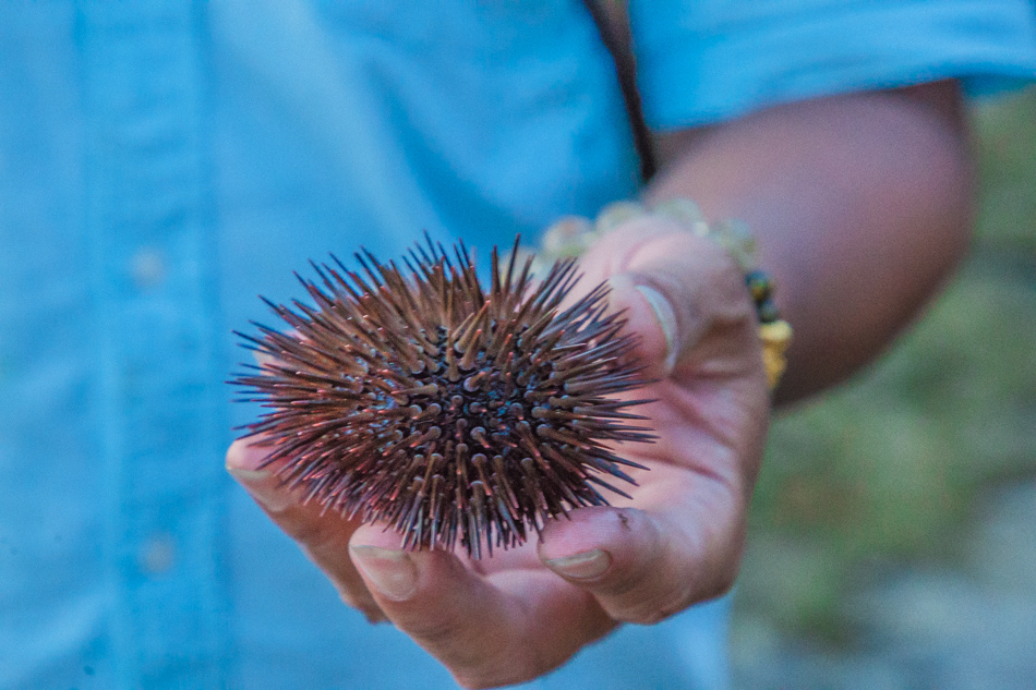 小琉球潮間帶 小琉球潮間帶