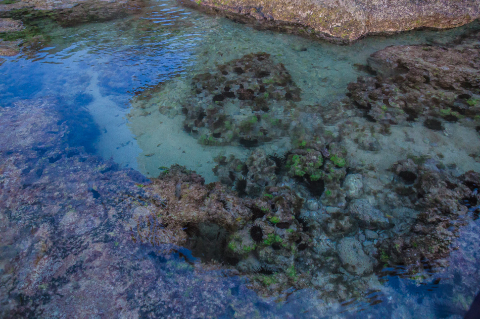 小琉球潮間帶 小琉球潮間帶