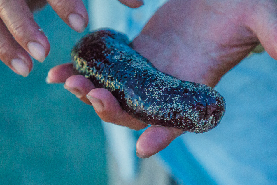 小琉球潮間帶 小琉球潮間帶