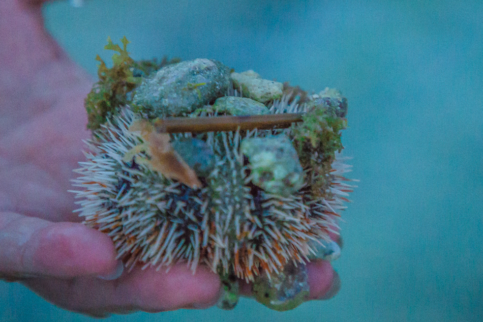 小琉球潮間帶 小琉球潮間帶
