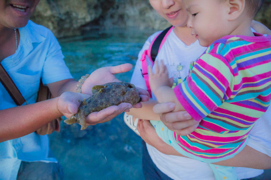 小琉球潮間帶 小琉球潮間帶