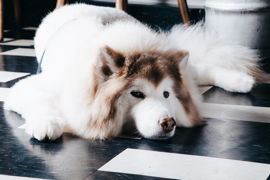 IMG_0012.jpg 佬掉牙商行 Old.TrickIMG_0012.jpg