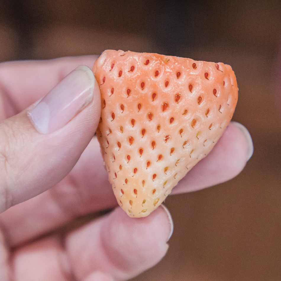 就是水果 Jui-cee fruits 就是水果 Jui-cee fruits
