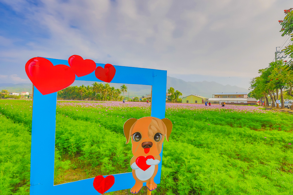 175A6418.jpg 175A6418.jpg