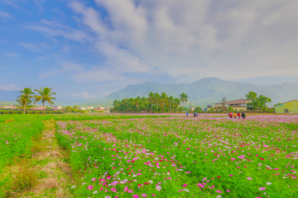 175A6420.jpg 175A6420.jpg