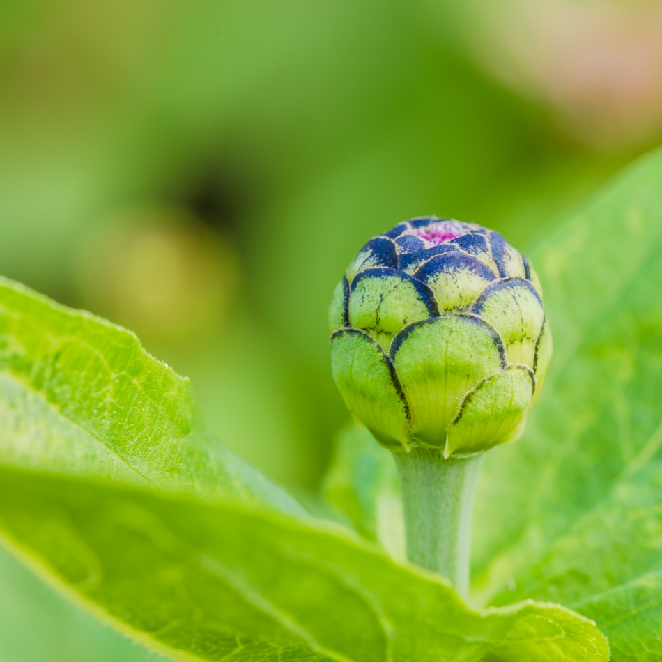 175A6449.jpg 175A6449.jpg