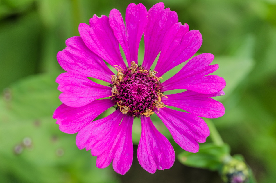 175A6450.jpg 175A6450.jpg