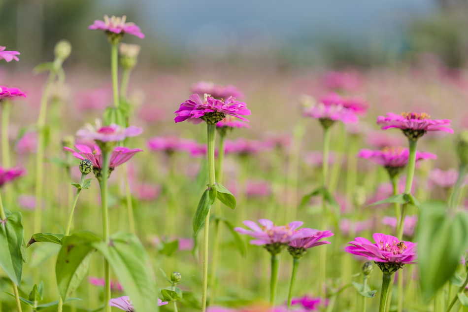 175A6462.jpg 175A6462.jpg