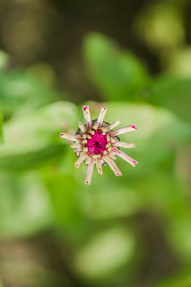 175A6464.jpg 175A6464.jpg