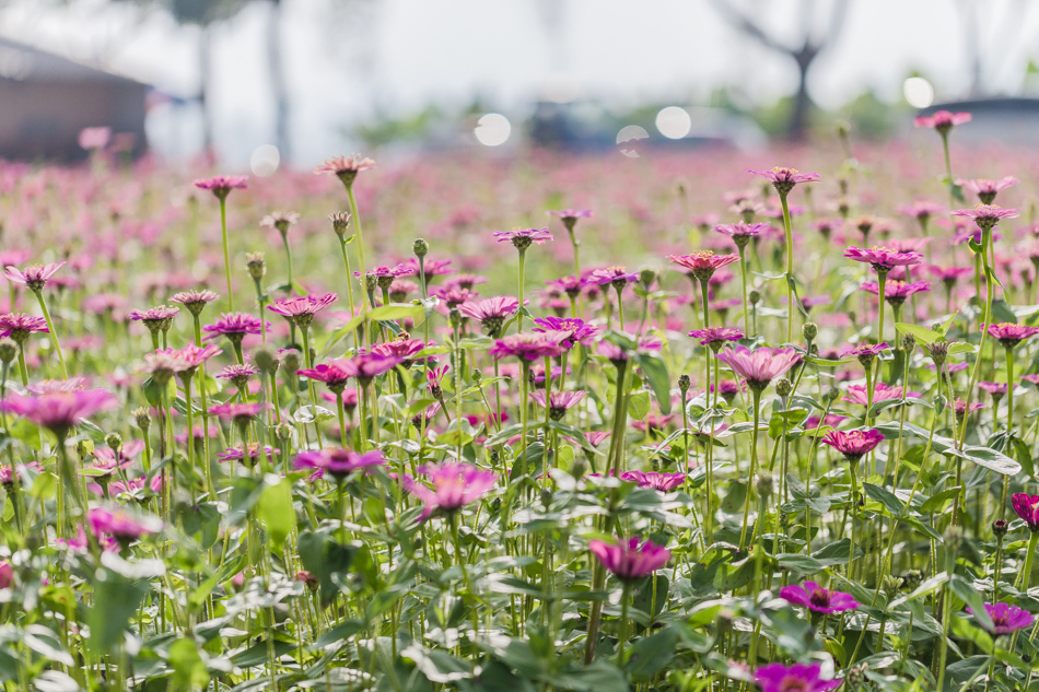 175A6465.jpg 175A6465.jpg