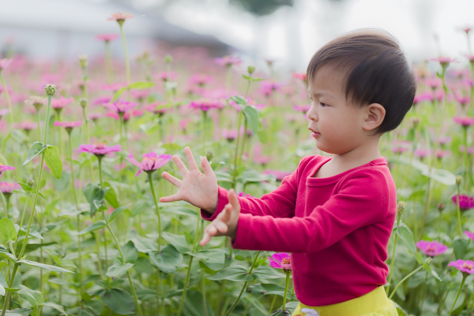 175A6495.jpg 175A6495.jpg