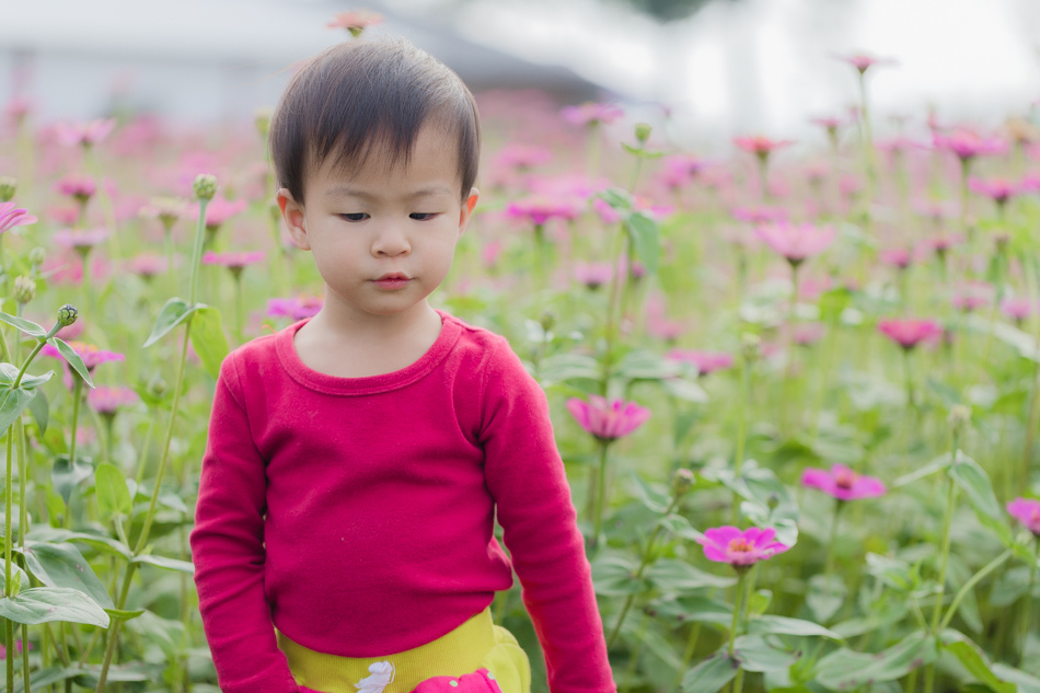 175A6496.jpg 175A6496.jpg