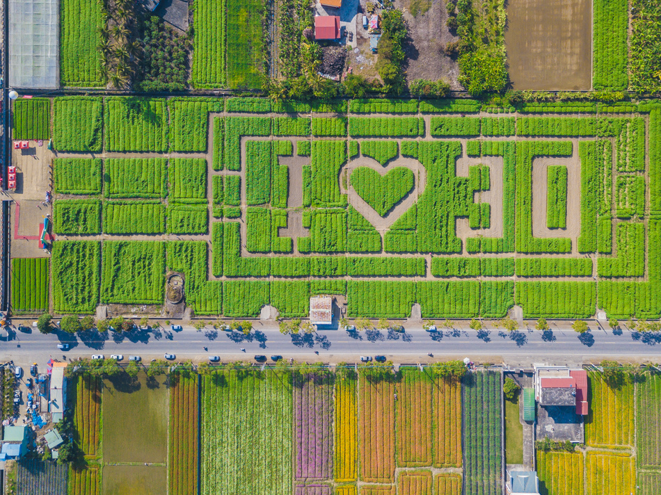 DJI_0011.jpg DJI_0011.jpg