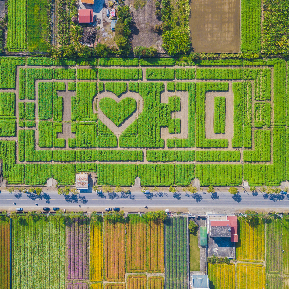 DJI_0011-2.jpg DJI_0011-2.jpg