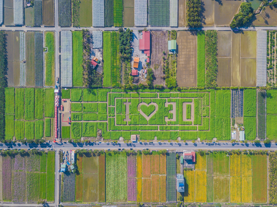 DJI_0019.jpg DJI_0019.jpg