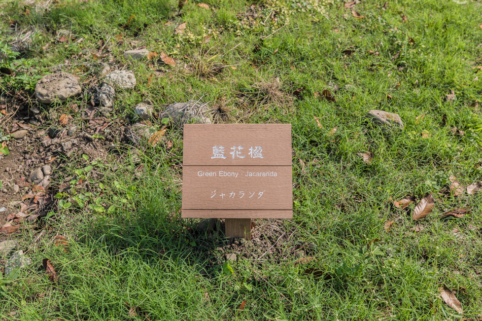 175A6904.jpg 175A6904.jpg