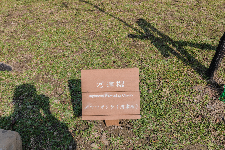 175A6923.jpg 175A6923.jpg
