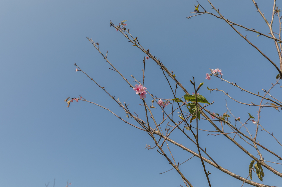 175A6924.jpg 175A6924.jpg