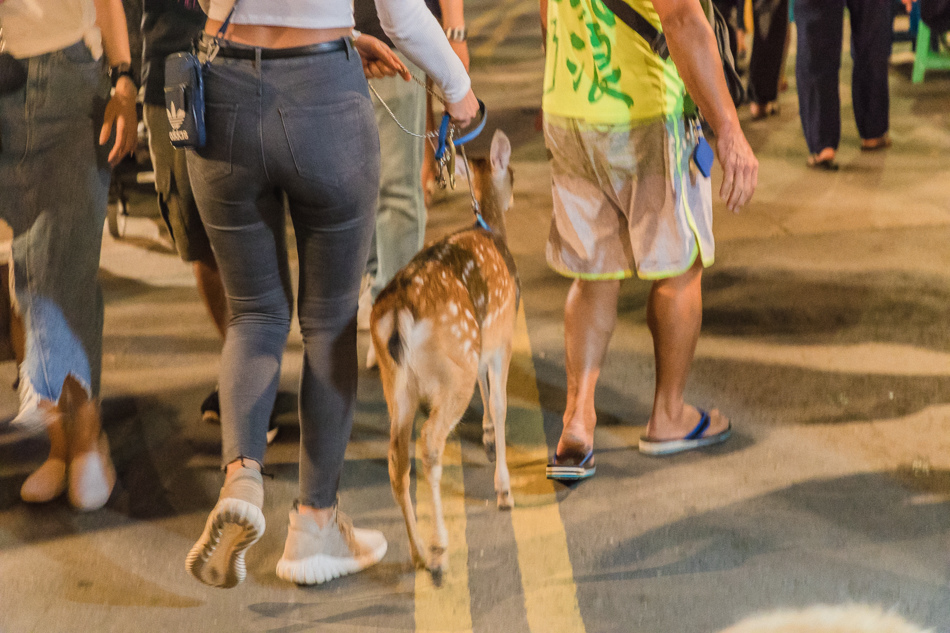 2018在地人帶路恆春夜市