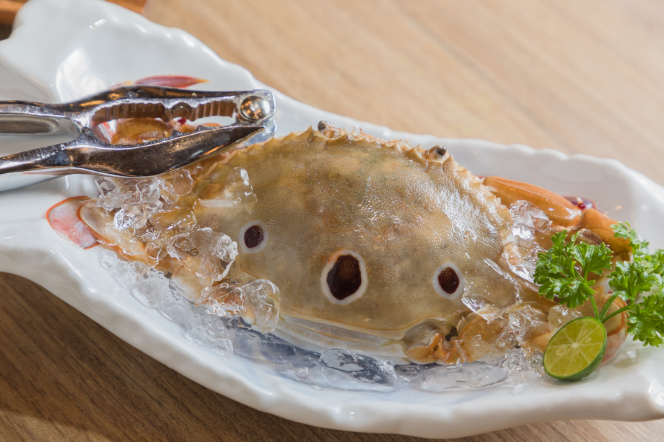 175A6303.jpg 175A6303.jpg