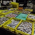 澎湖第三漁港魚市場