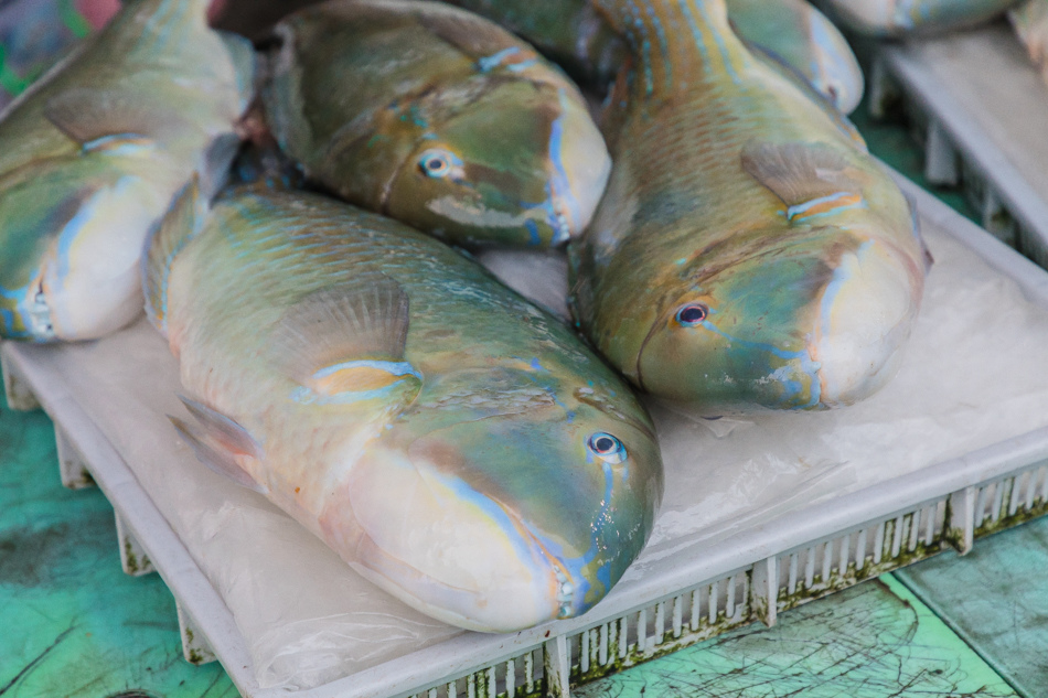 澎湖第三漁港魚市場