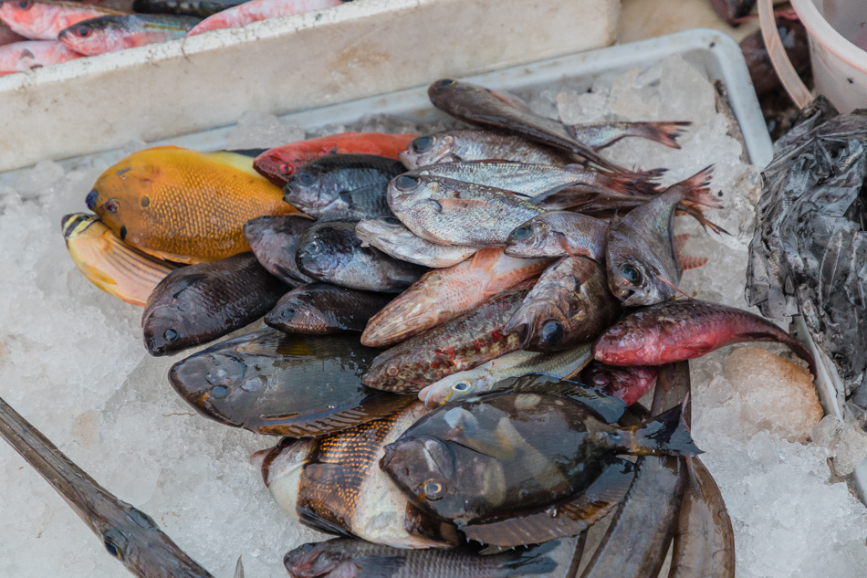 澎湖第三漁港魚市場