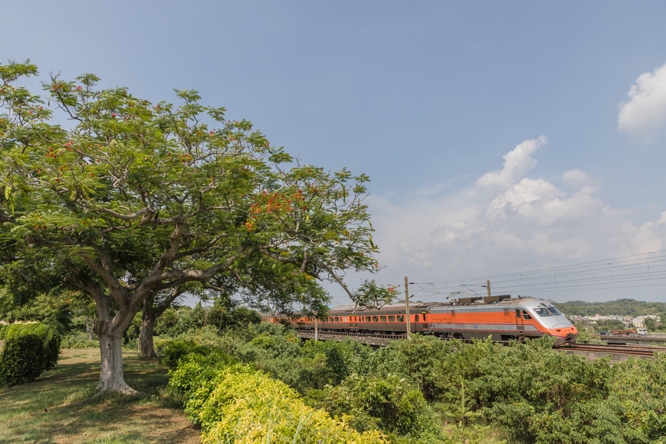 苗栗造橋綠池庭園餐廳