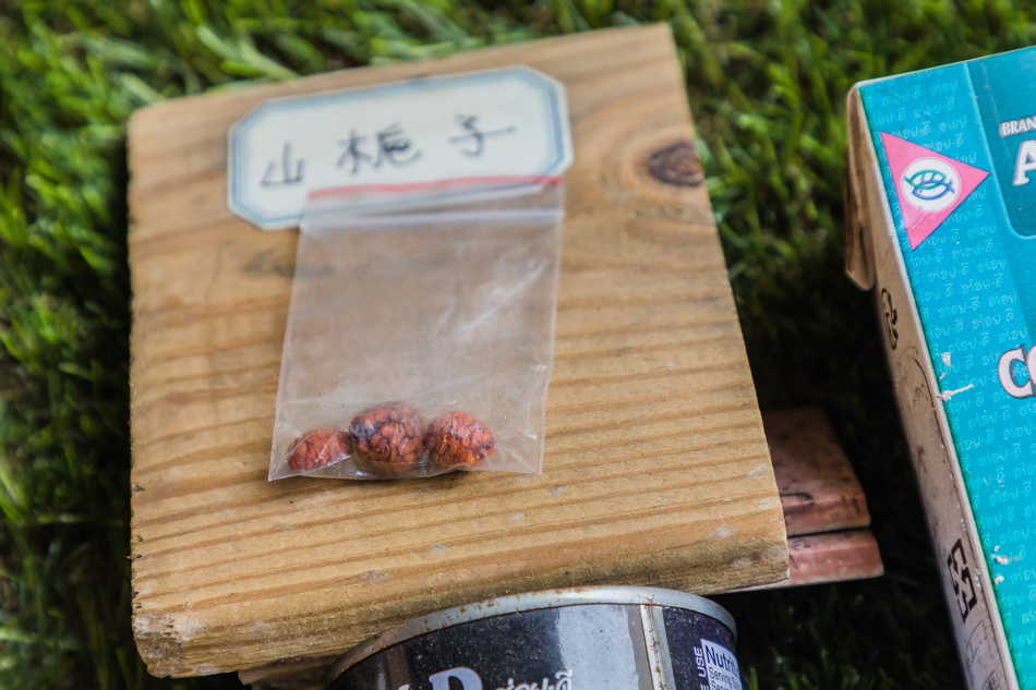 175A0761.jpg 泉捌月冰品甜點陳列,展現特色與精緻製作