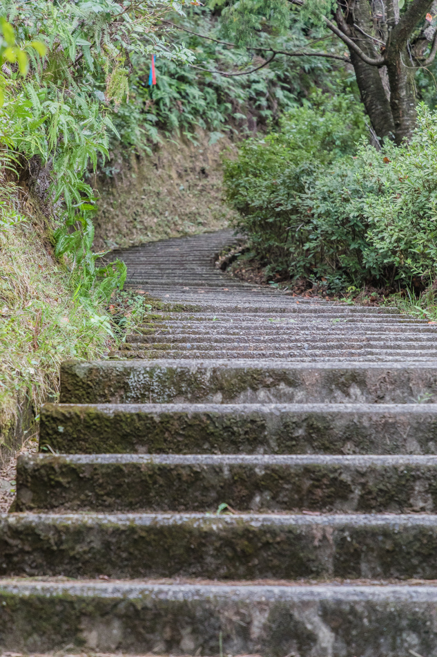 175A9588.jpg 175A9588.jpg