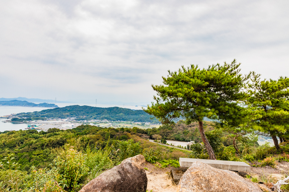 175A9599.jpg 175A9599.jpg