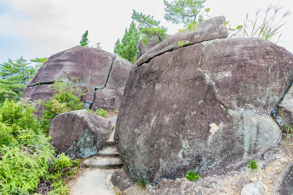 175A9600.jpg 175A9600.jpg