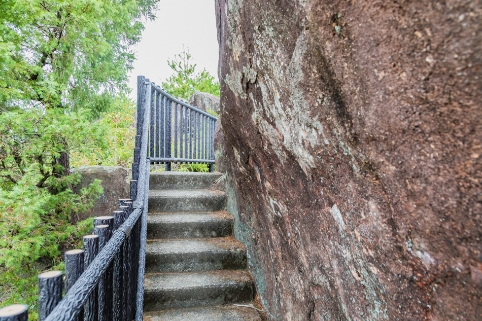 175A9603.jpg 175A9603.jpg