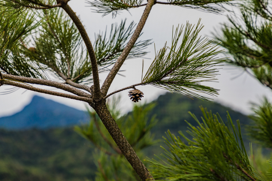 175A9607.jpg 175A9607.jpg