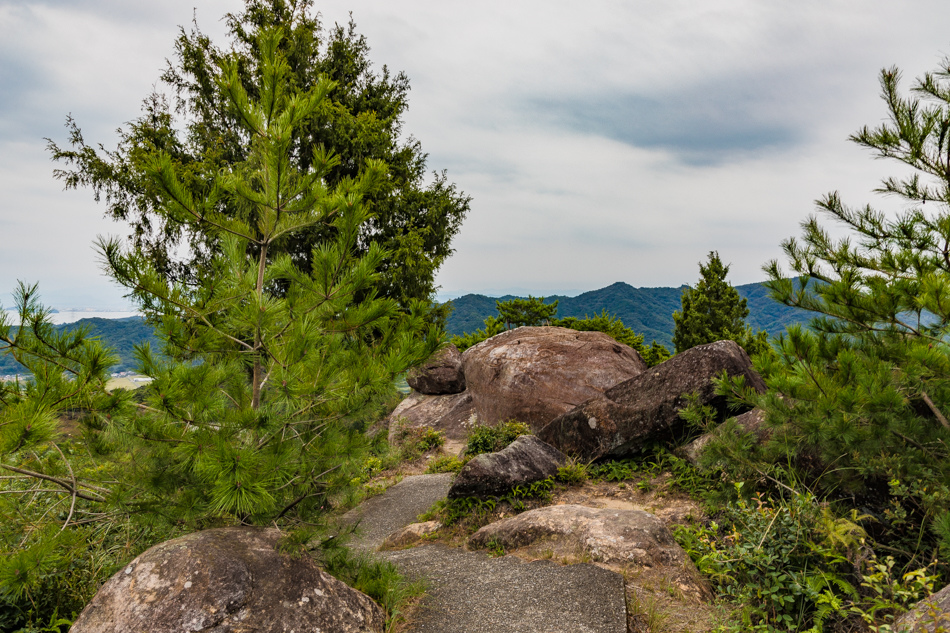 175A9611.jpg 175A9611.jpg