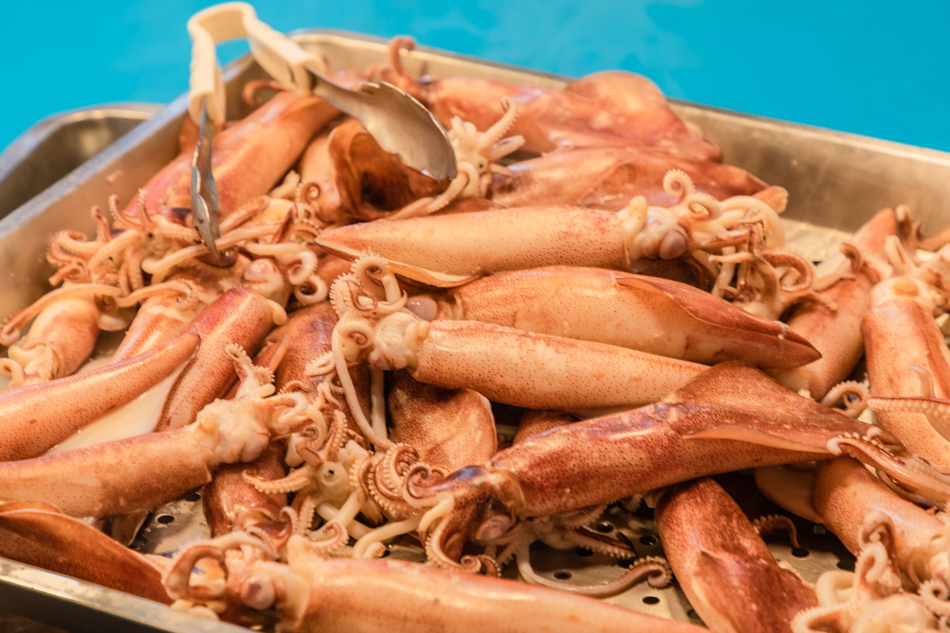 175A6340.jpg 蚵仔寮魚貨直銷中心175A6340.jpg