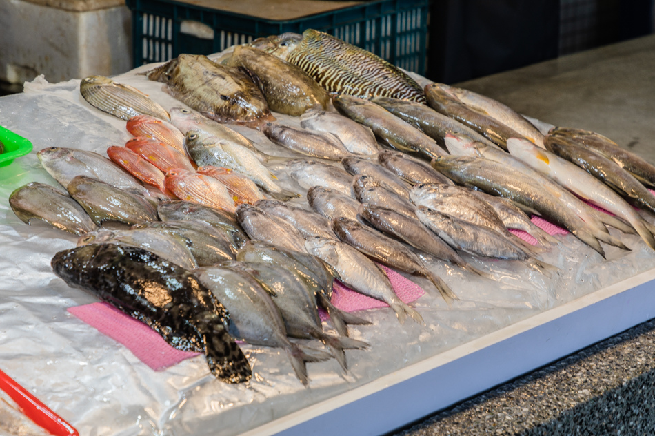 175A6343.jpg 蚵仔寮魚貨直銷中心175A6343.jpg
