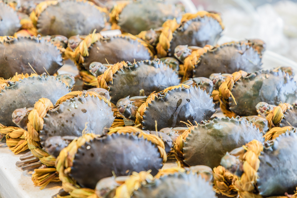 175A6348.jpg 蚵仔寮魚貨直銷中心175A6348.jpg