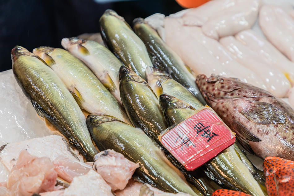 175A6349.jpg 蚵仔寮魚貨直銷中心175A6349.jpg