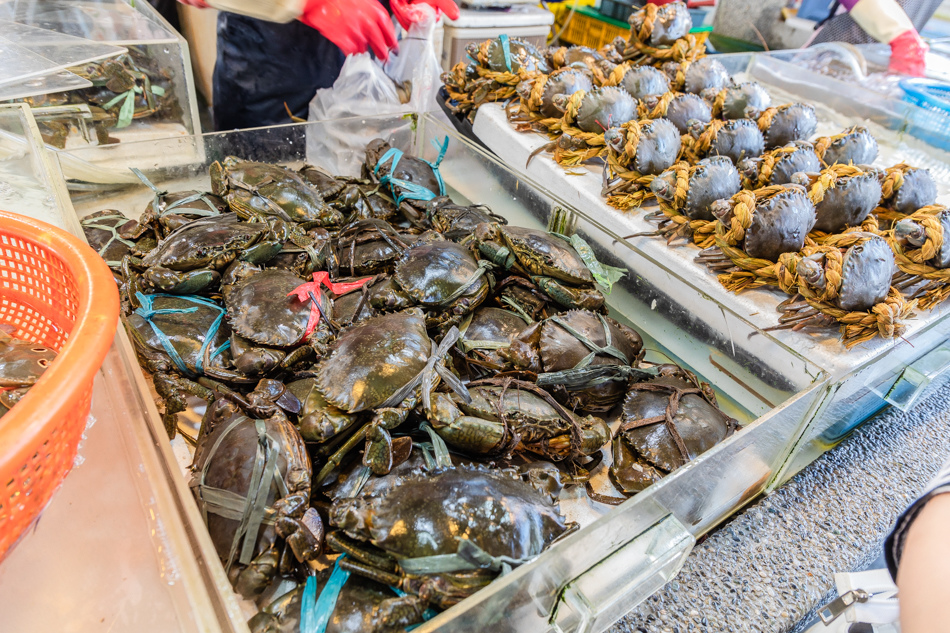 175A6399.jpg 蚵仔寮魚貨直銷中心175A6399.jpg