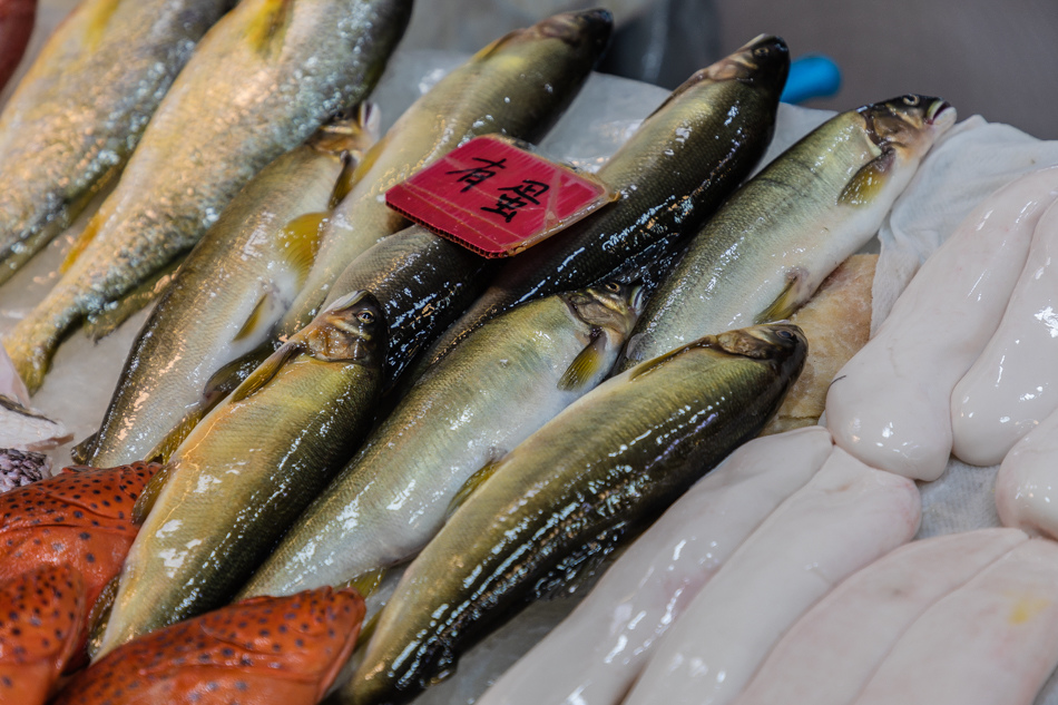 175A6401.jpg 蚵仔寮魚貨直銷中心175A6401.jpg