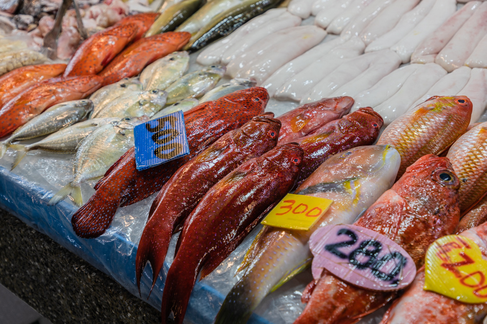 175A6403.jpg 蚵仔寮魚貨直銷中心175A6403.jpg